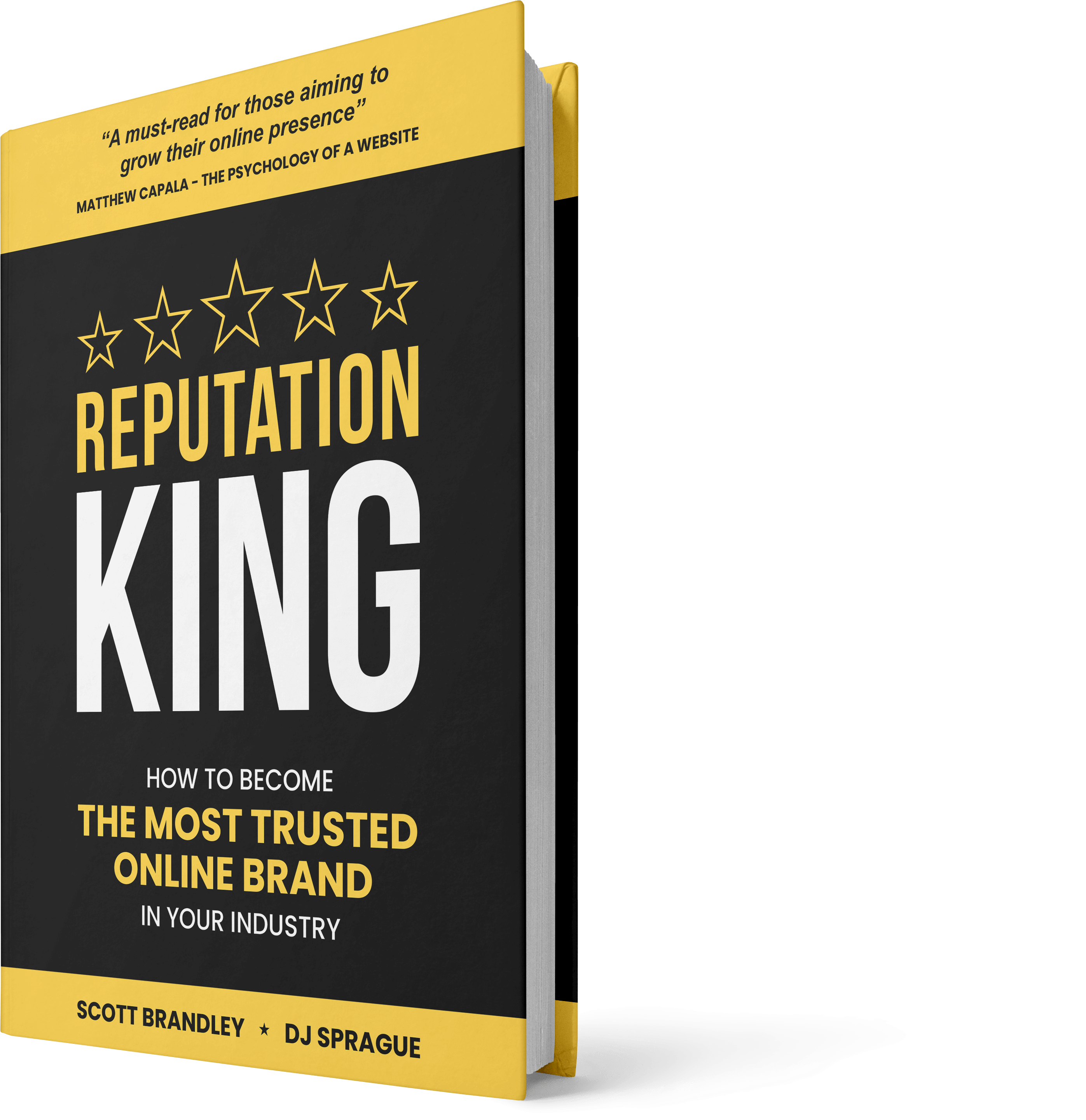 Reputation King Book Cover